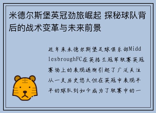 米德尔斯堡英冠劲旅崛起 探秘球队背后的战术变革与未来前景